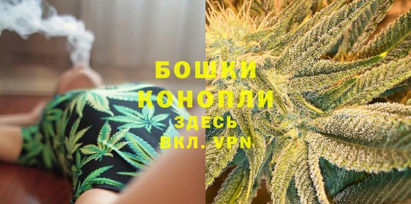 шишки Баксан