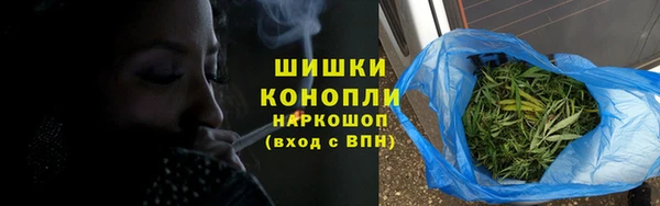 шишки Баксан