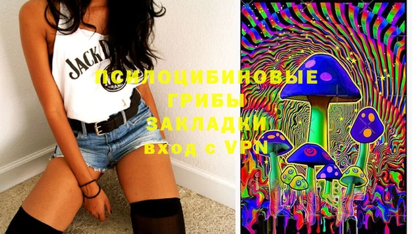 шишки Баксан