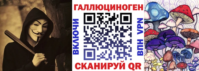 Галлюциногенные грибы Psilocybine cubensis  Сухой Лог 